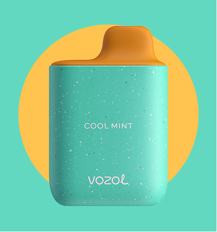 VOZOL 4000 - Cool Mint