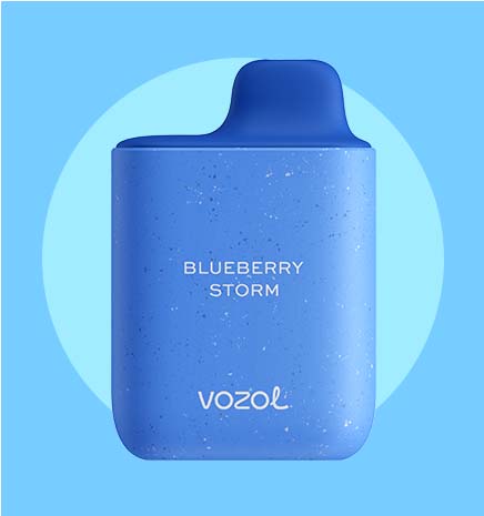 VOZOL 4000 - Blueberry Storm
