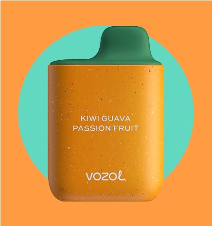 VOZOL 4000 - Kiwi Passion Fruit Guava