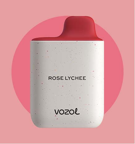 VOZOL 4000 - Rose Lychee