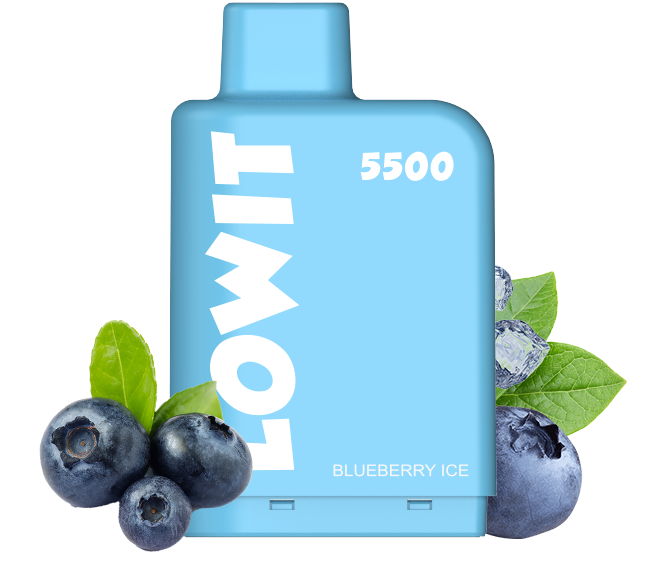 LOWIT 5500 - Blueberry Ice